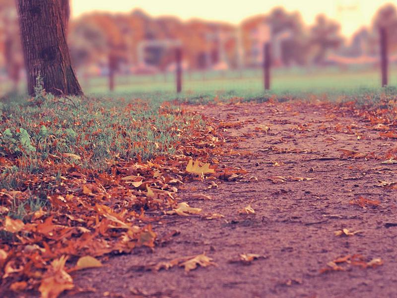 Ins全套运营教程<br>注册/养号/涨粉/交易/解封一站式